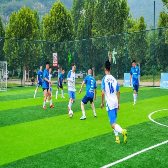 马德里赛程全解析与赛事亮点